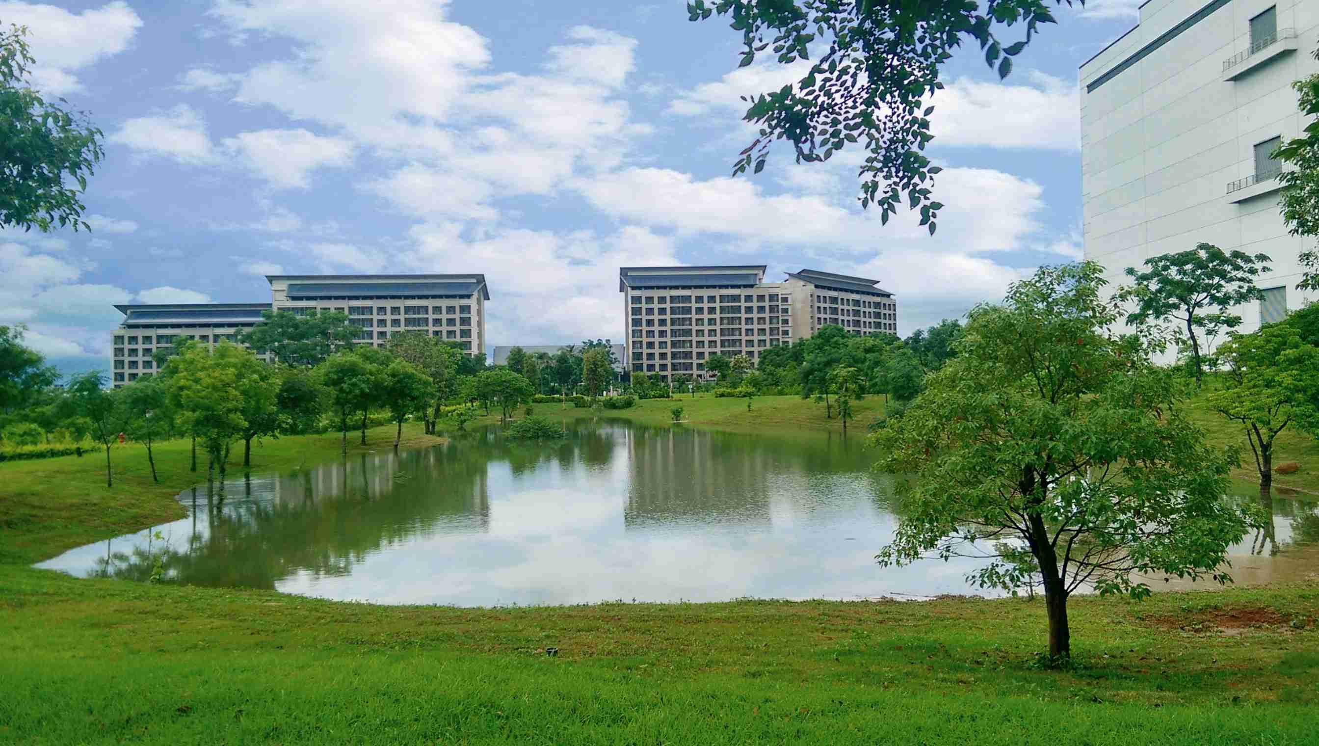 传奇国际响应国际倡议生物多样性趋势，，首次发布TNFD自然相关财务揭露报告书，，，，擘划及开展传奇国际生物多样性政策之承诺，，逐步迈向与自然和谐共生